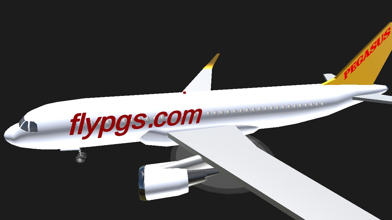 SimplePlanes | Pegasus Hava Tasimaciligi A.S (Pegasus Airlines) Flight 123